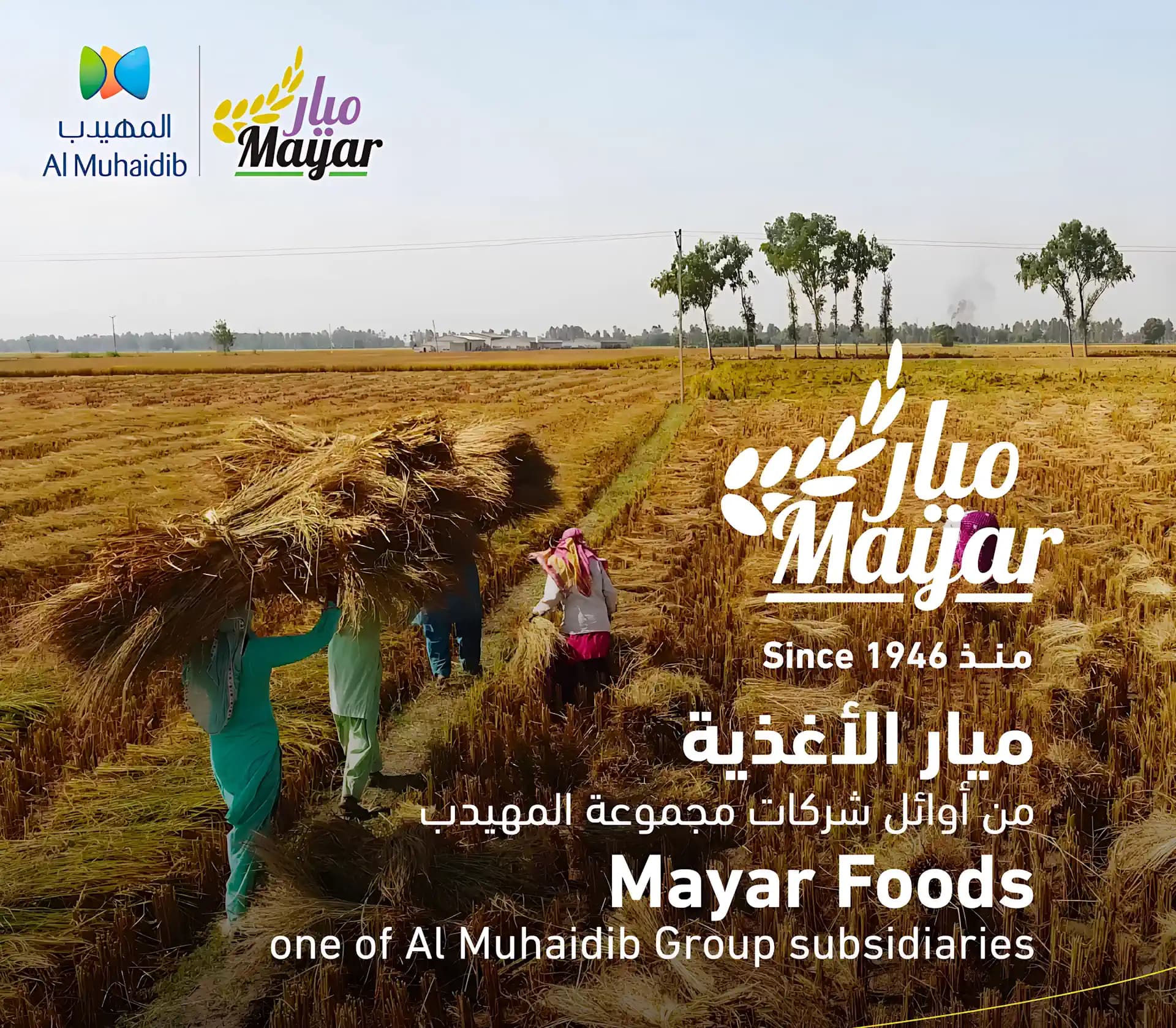 MIYAR FOODS